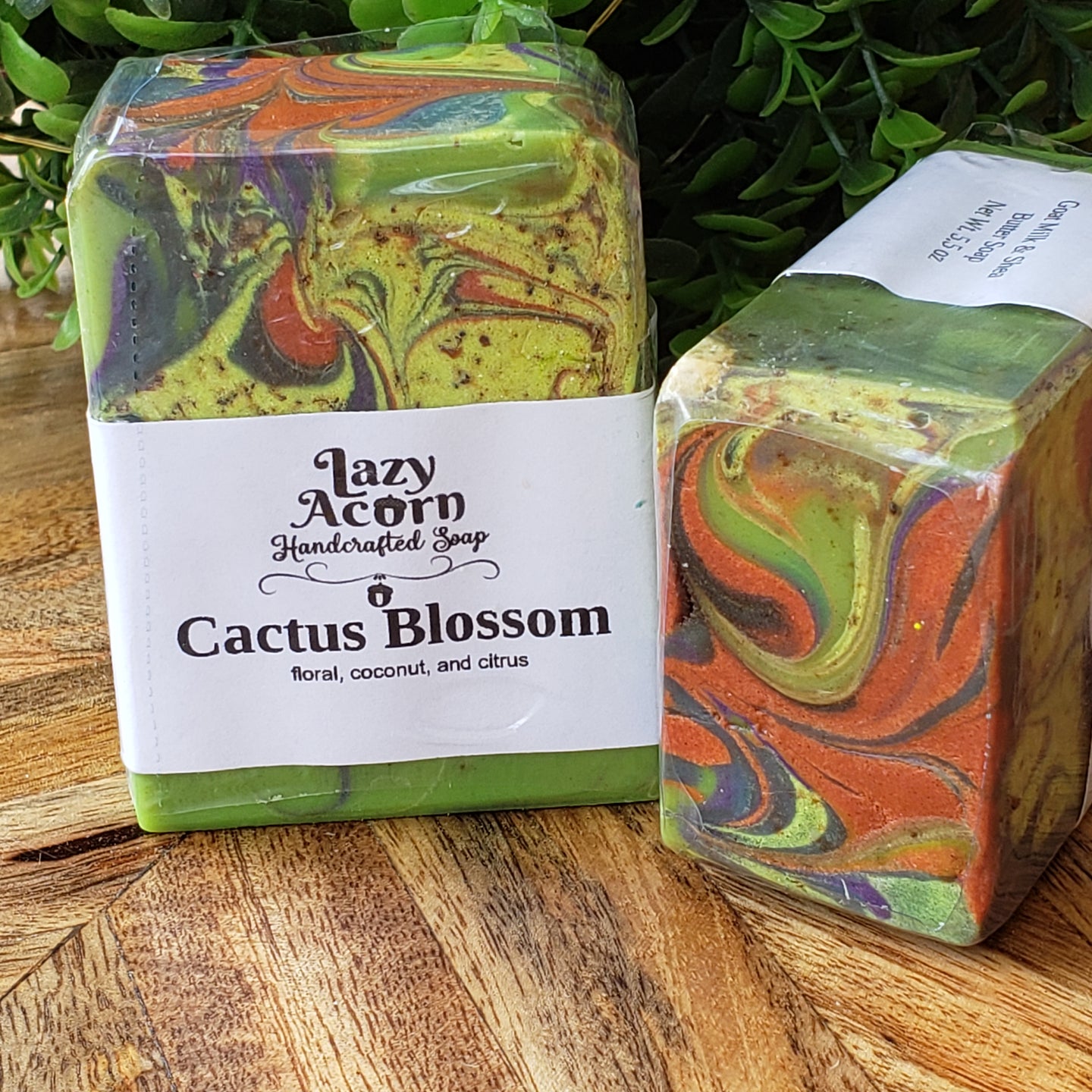 Cactus Blossom